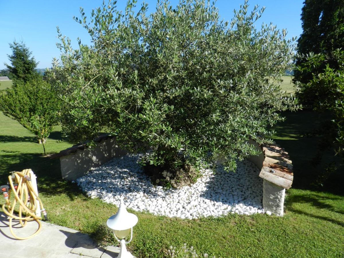 L'Alivu Bed & Breakfast Couches Exterior photo